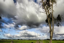 Some Story——The Next Cataclysm