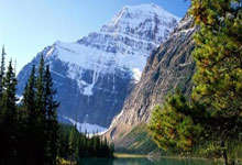 如何编辑PowerPoint主题属性标志信息